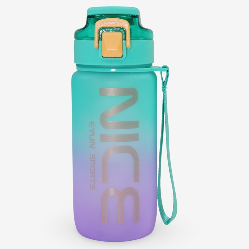 Plastic Water Bottle  Green/Purple (550ml)