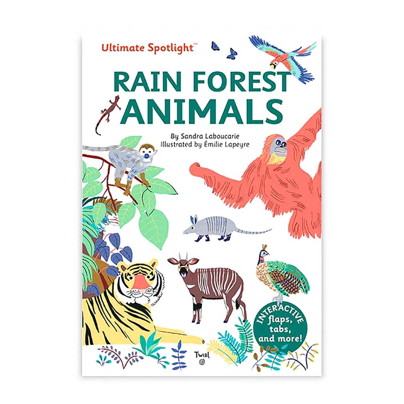 Ultimate Spotlight – Rain Forest Animals