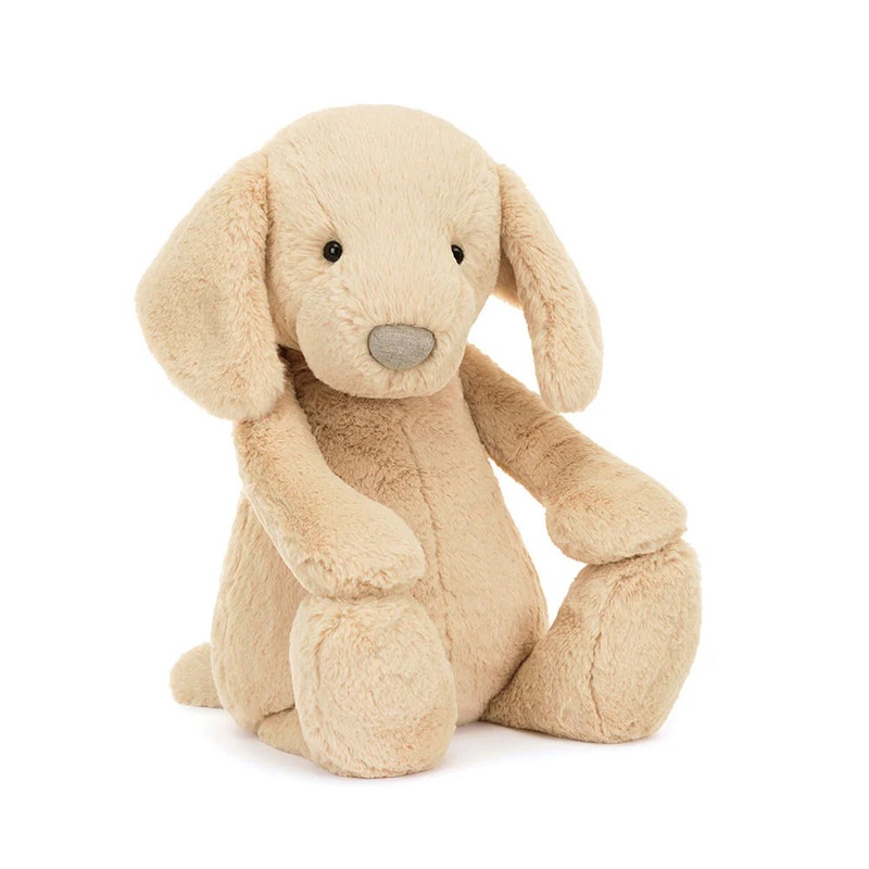 Bashful Luxe Puppy Orlando – Huge