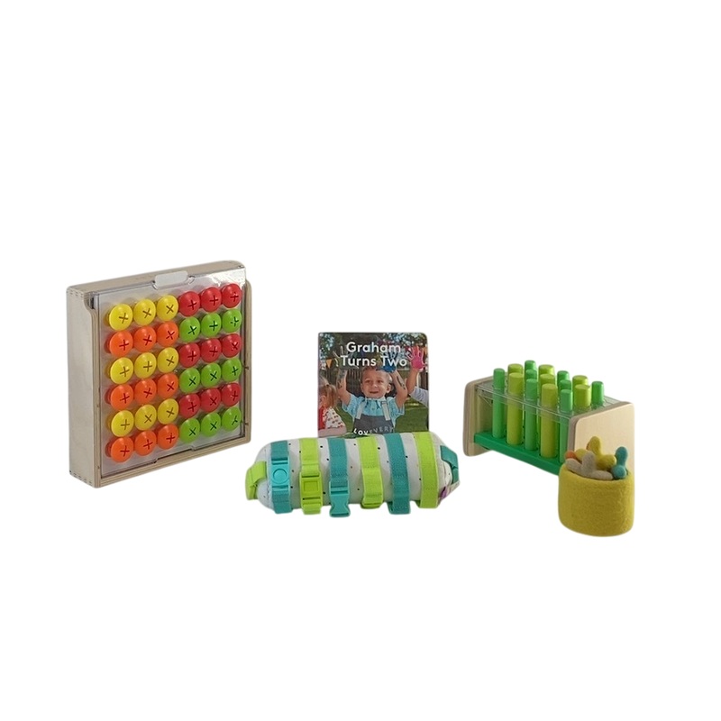 Lovevery The Companion Play Kit