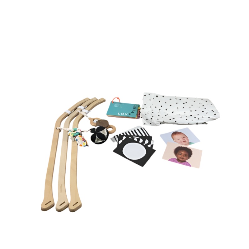 Lovevery The Play Gym