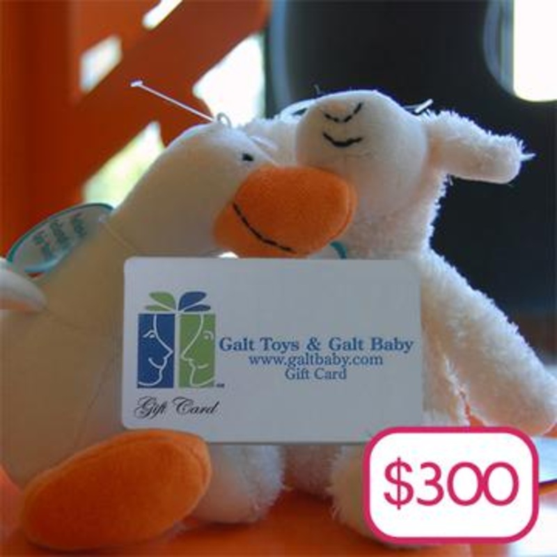 $300 Electronic Gift Card