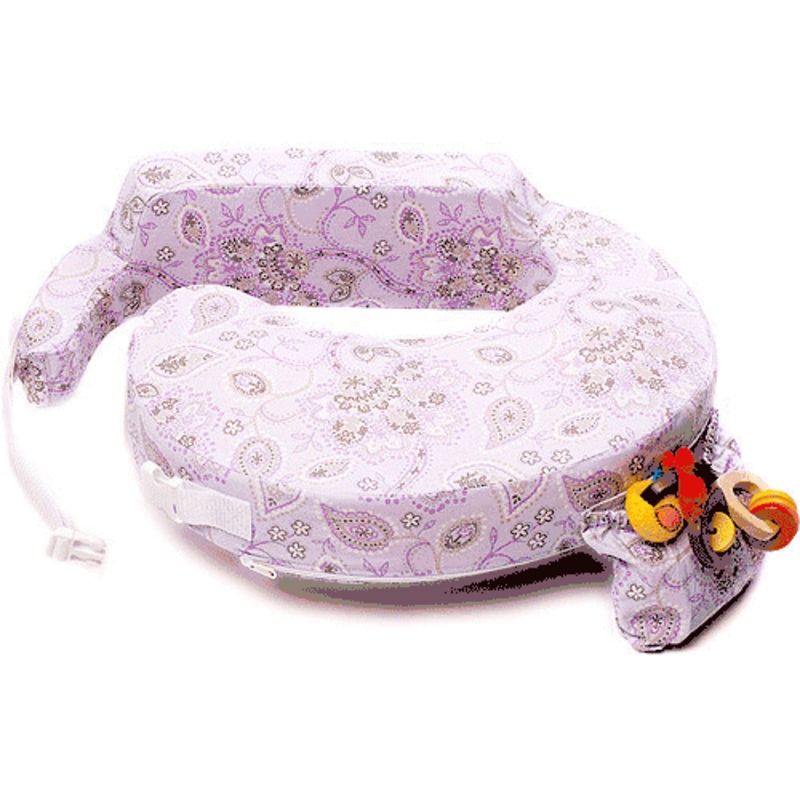 My Brest Friend Slipcover in Petal Paisley