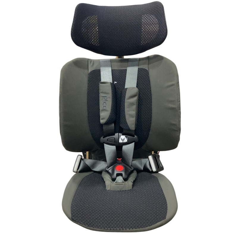 WAYB Pico Portable Car Seat, 2024, Earth