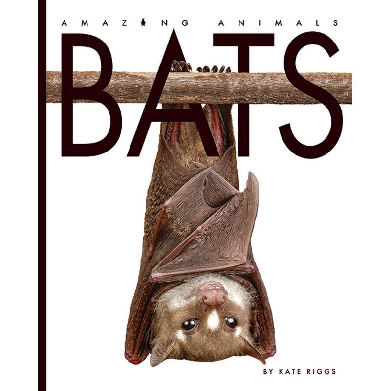 Amazing Animals: Bats
