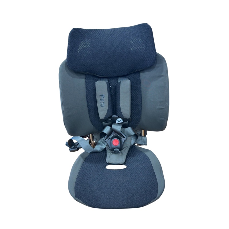 WAYB Pico Portable Car Seat, 2023, Earth
