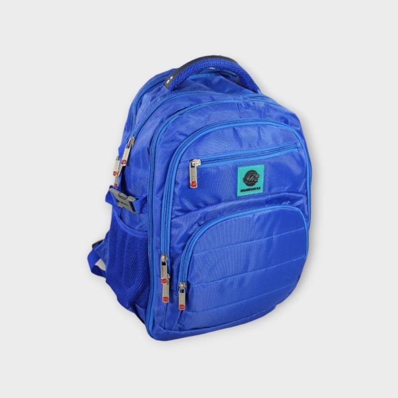 Blue 20 Inches Backpack