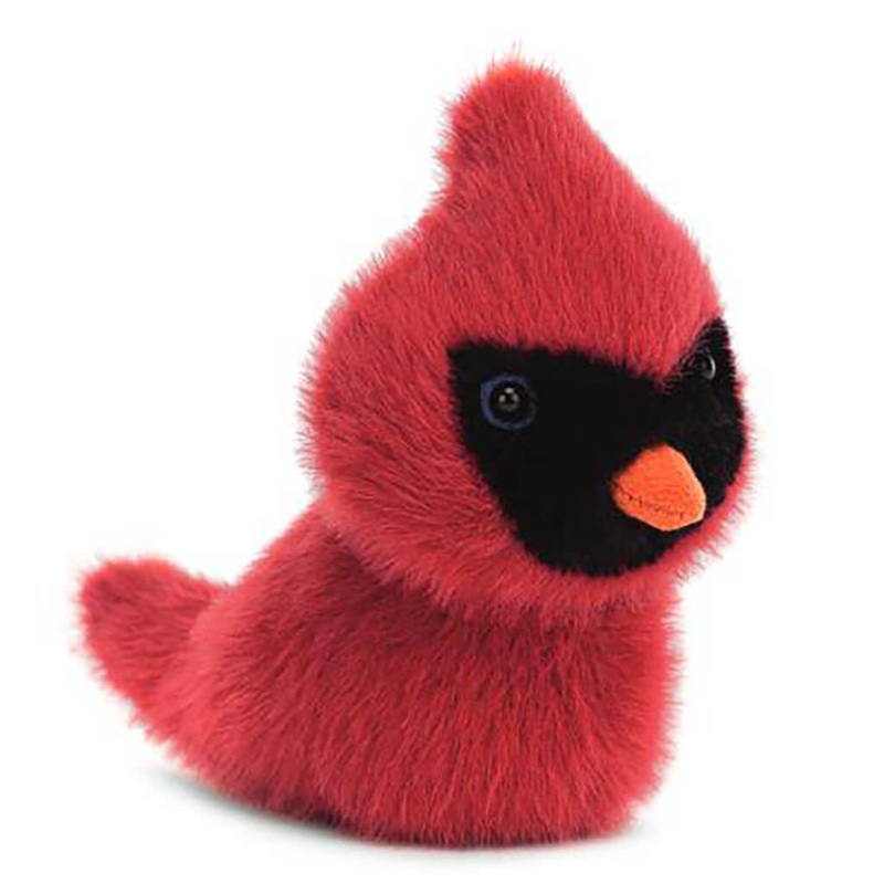 Birdling Cardinal