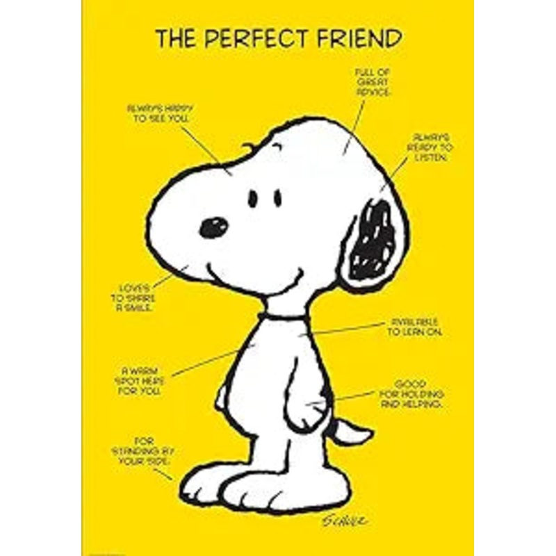 Peanuts The Perfect Friend 13″x19″ Poster