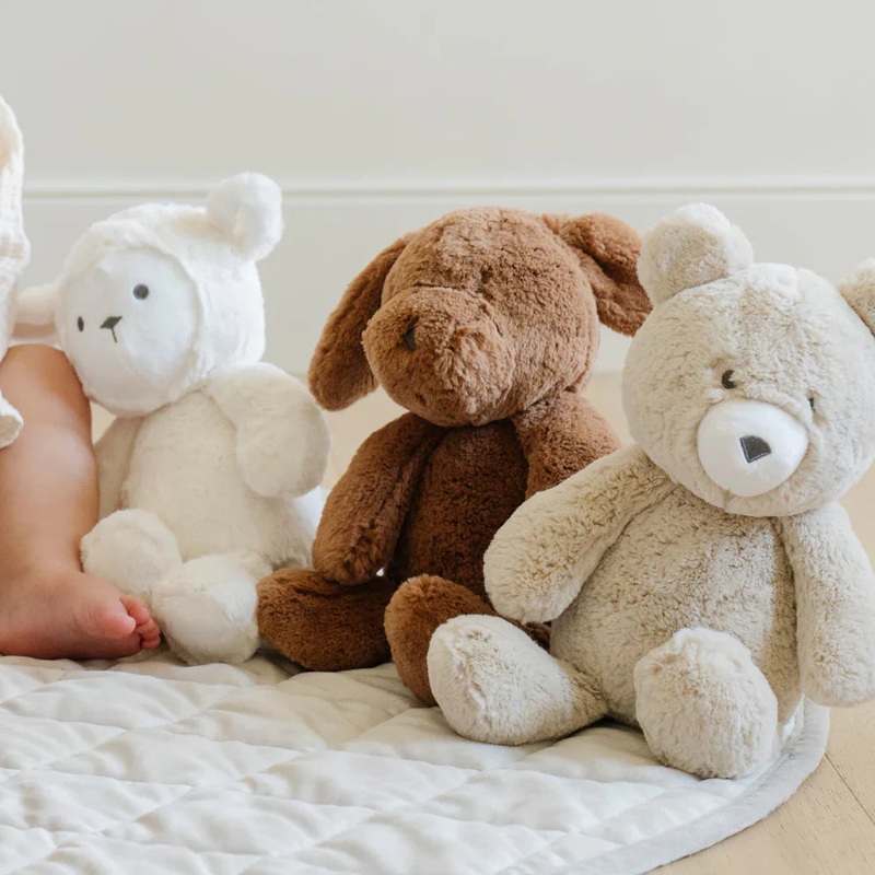 Stuffed Animal – Bear