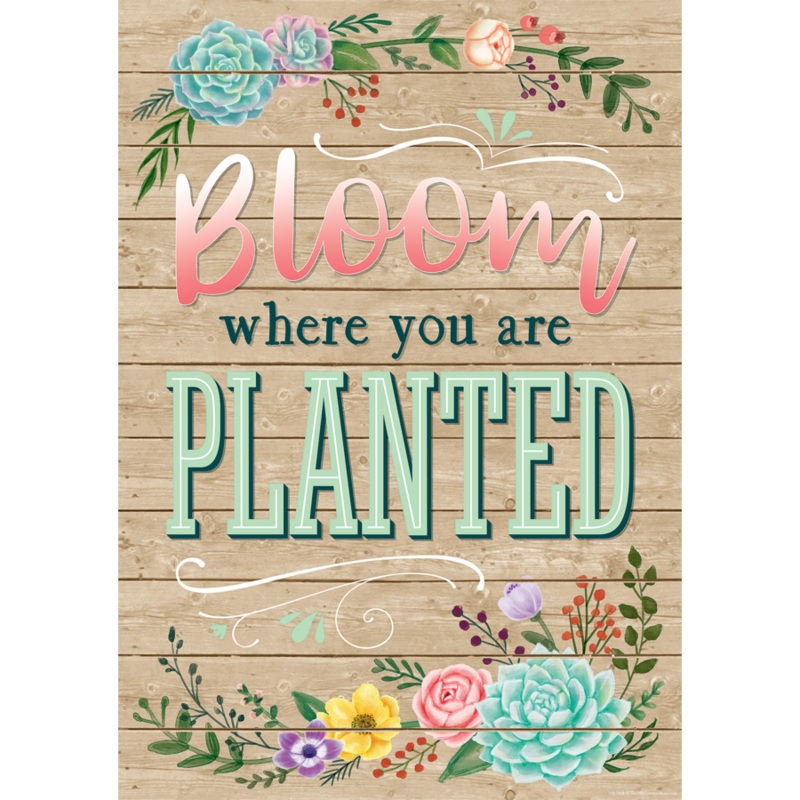 Bloom Where You Are Planted Positive Poster(C)