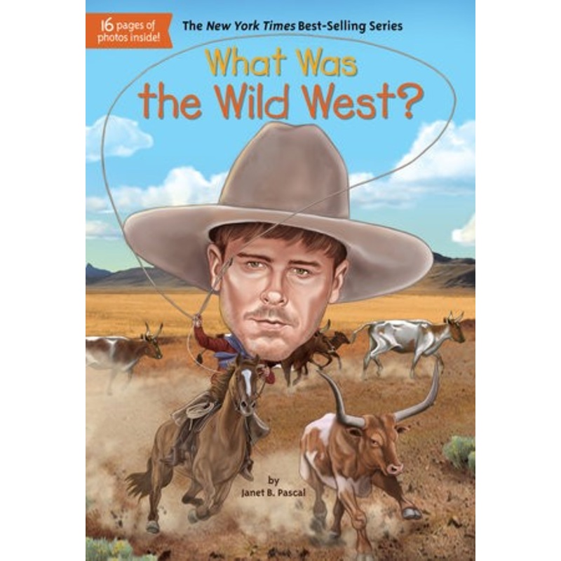 What Was the Wild West?