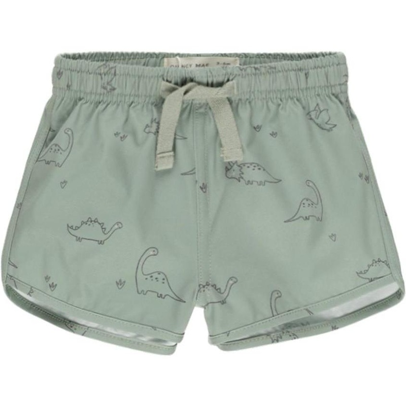 Quincy Mae Boys Swim Short || Dino