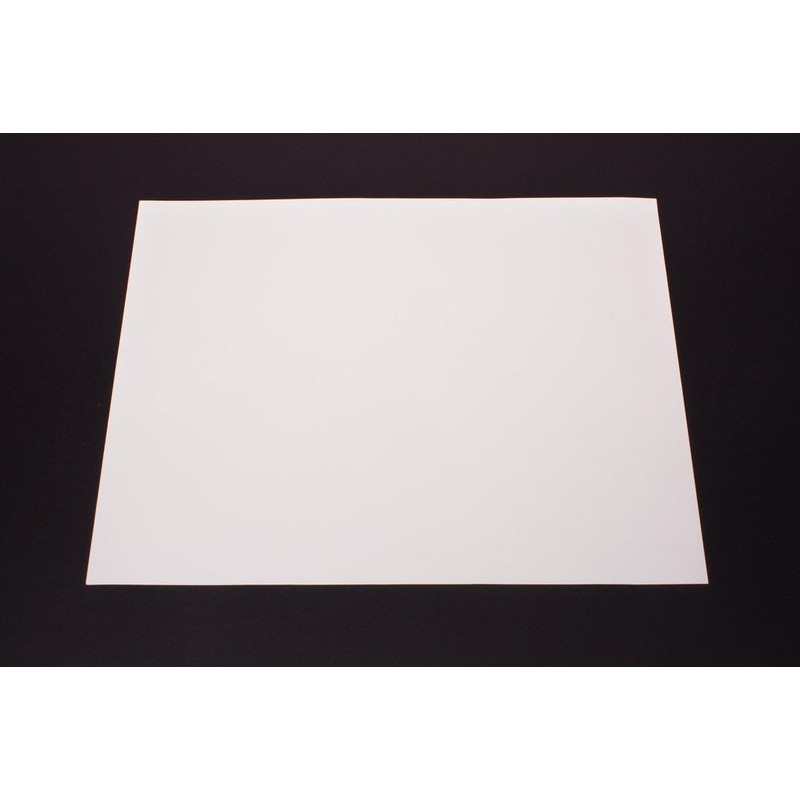 White Poster Board (100 sheets)