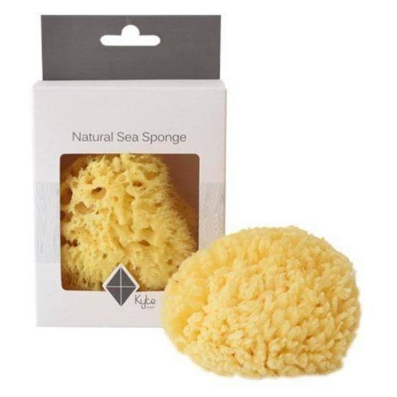 Sea Sponge