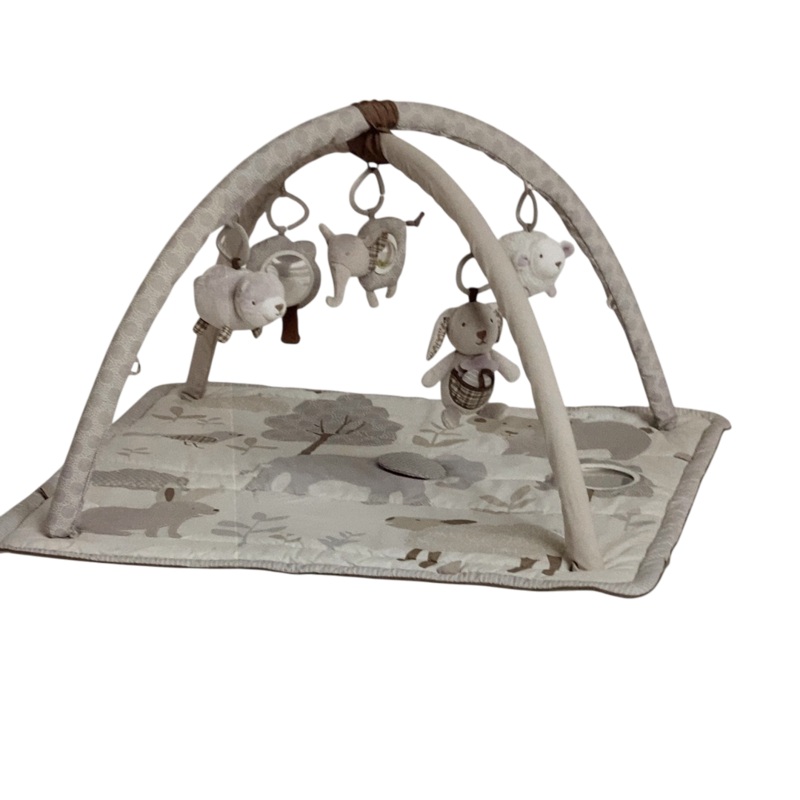 Pottery Barn Kids Animal Friends Classic Activity Gym