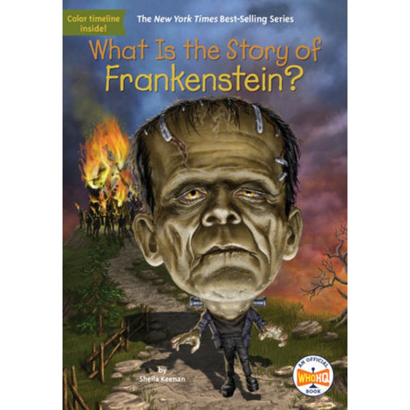 What Is the Story of Frankenstein?