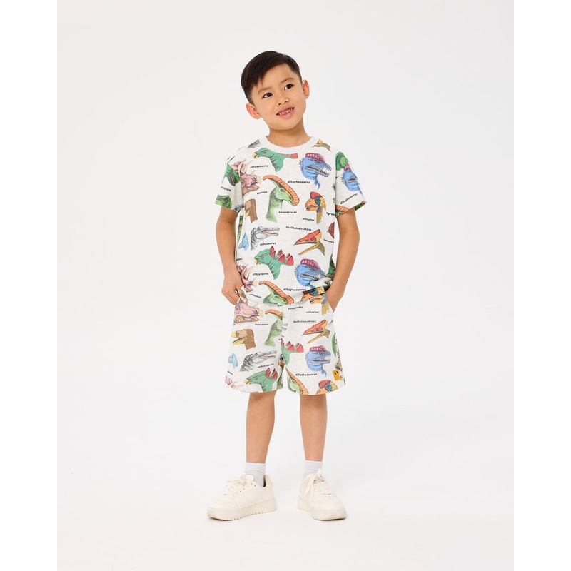 Dino Bright Short Sleeve T-Shirt – Grey Marle