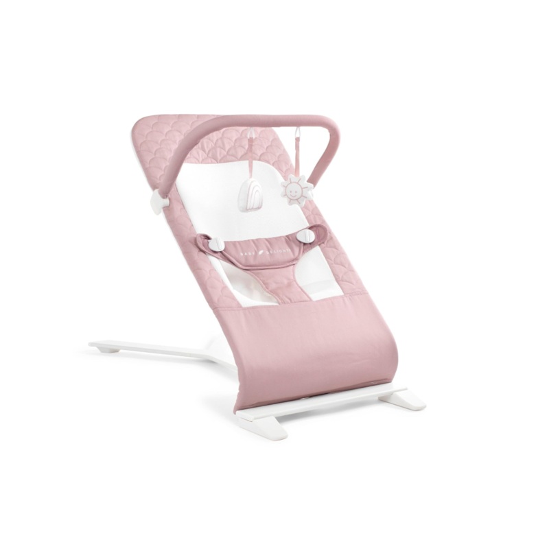 Baby Delight Alpine Deluxe Portable Bouncer, Organic Rose