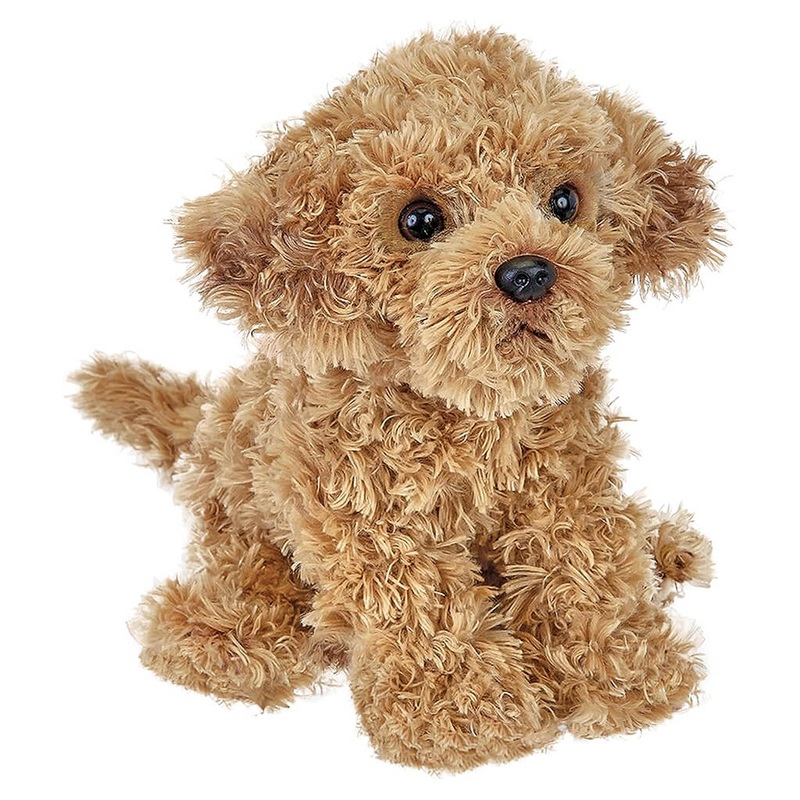 Doodles the Labradoodle