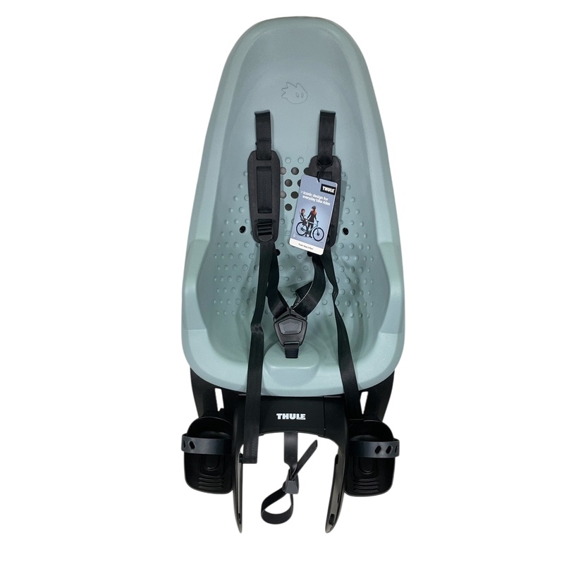Thule Yepp 2 Maxi Rack Mounted Child Bike Seat, Alaska
