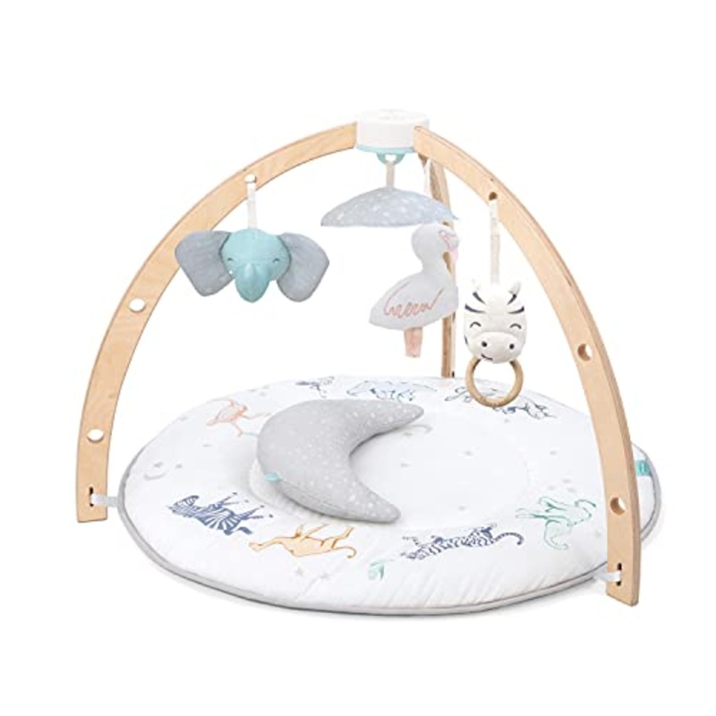 Aden + Anais Play + Discover Baby Activity Gym, Rising Star