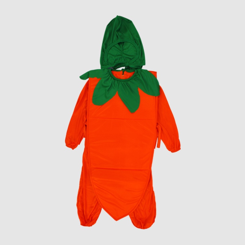 Carrot Costume