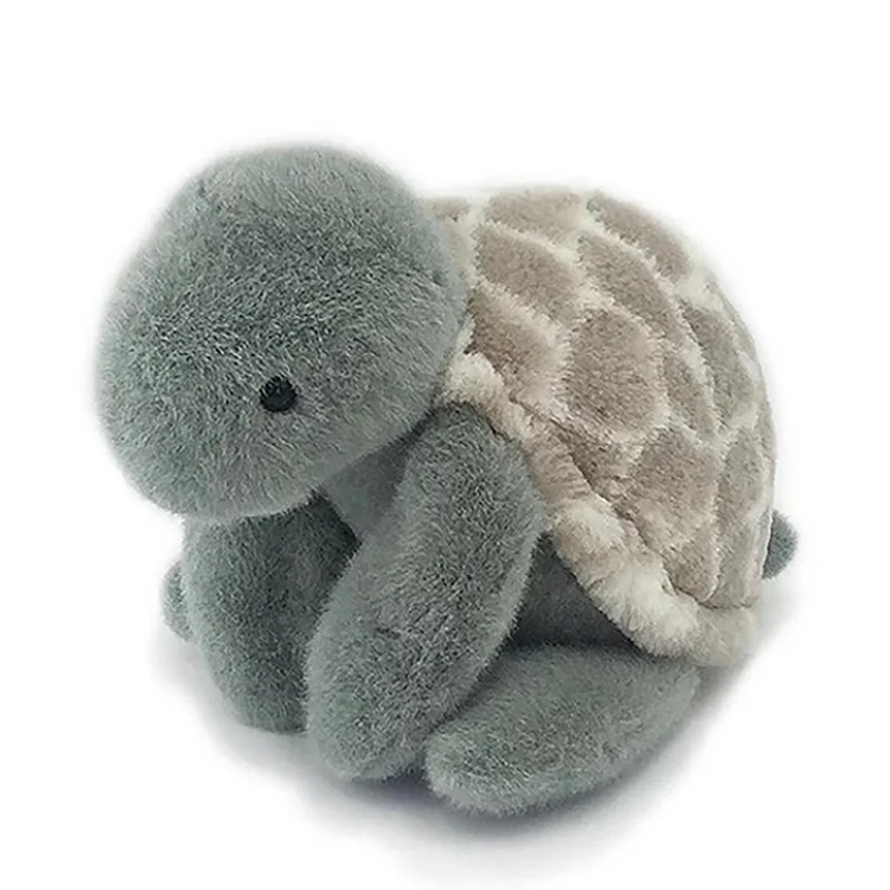 Taylor Turtle
