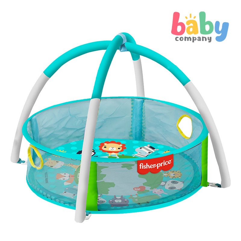 Fisher Price Baby Activity Gym & Ball Pit